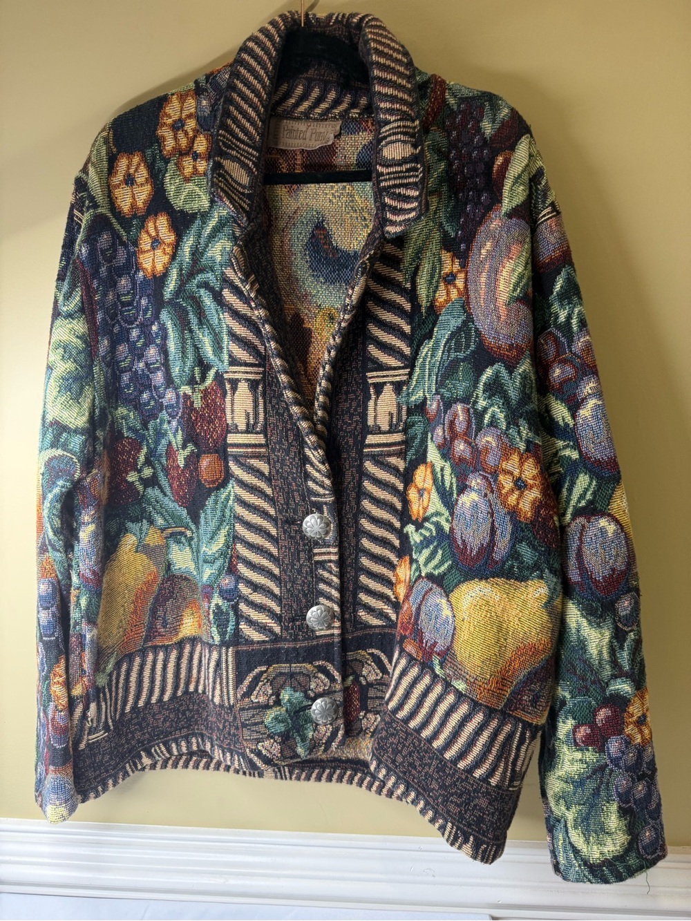 The Painted Pony Vintage Tapestry Jacket